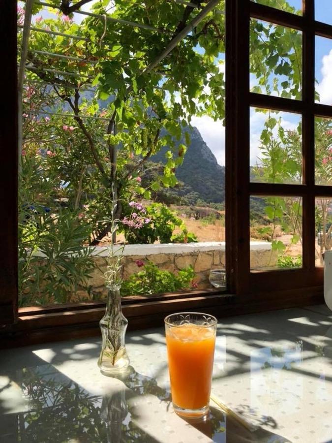 Kathys Island Retreat Aparthotel Άδεια Εξωτερικό φωτογραφία