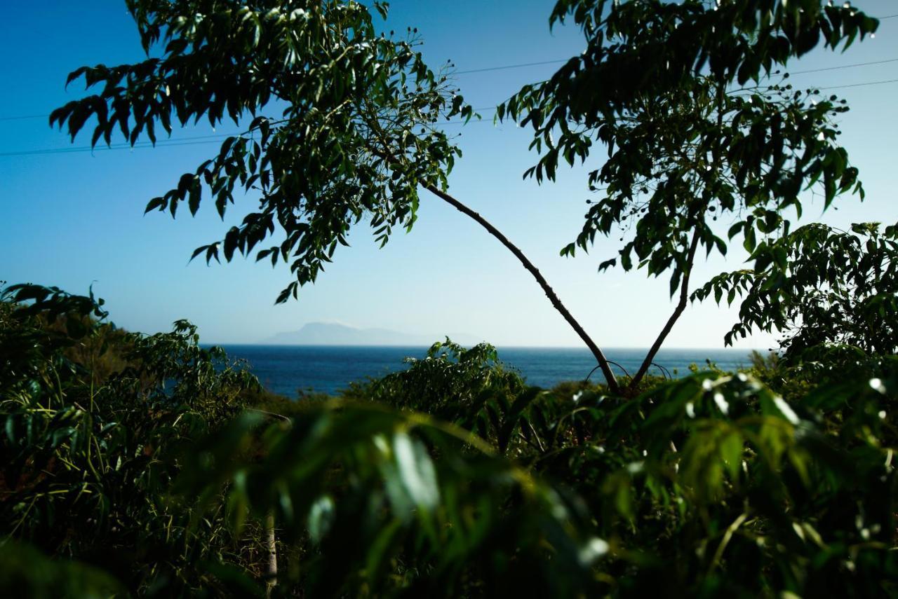Kathys Island Retreat Aparthotel Άδεια Εξωτερικό φωτογραφία