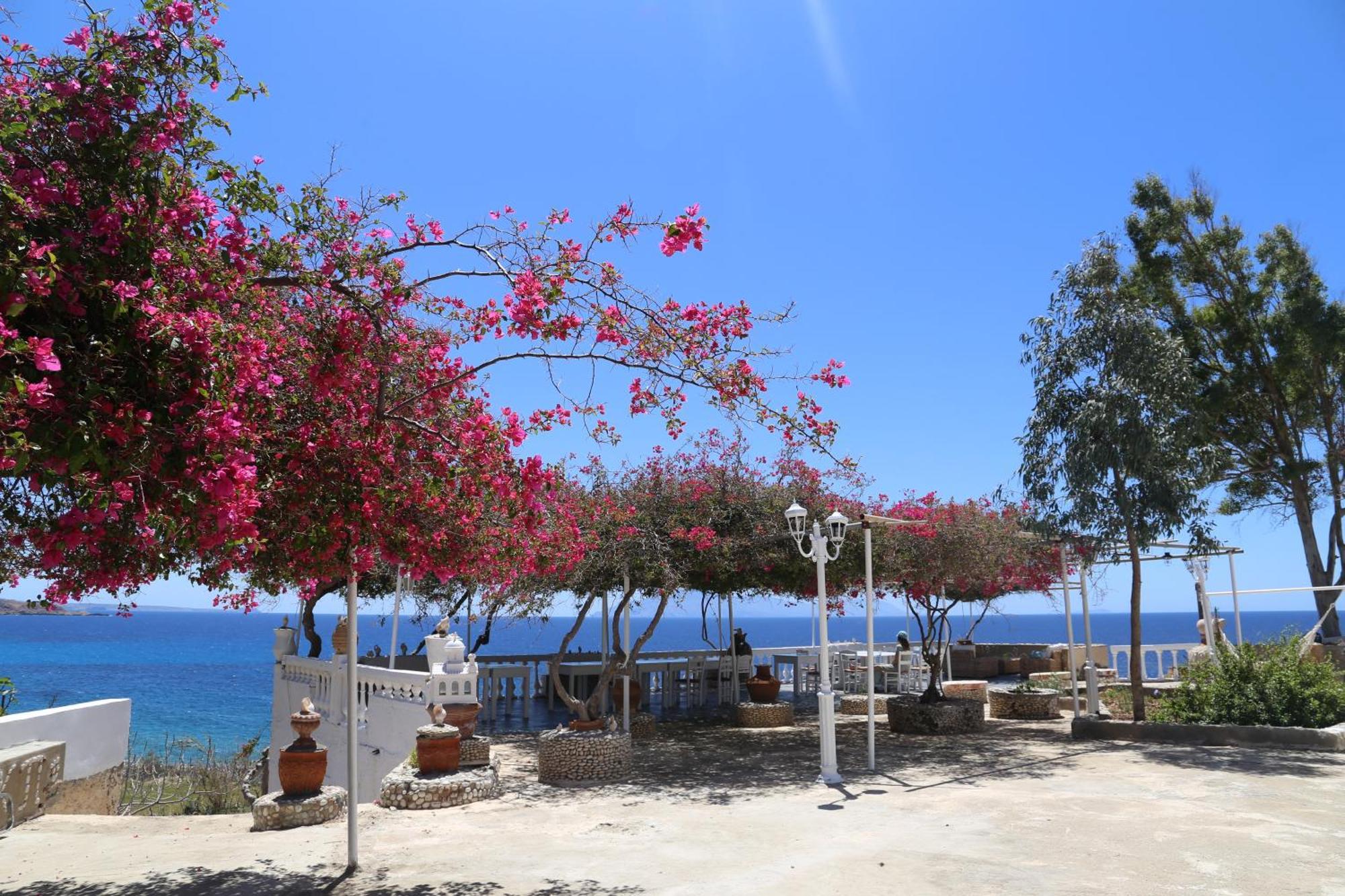 Kathys Island Retreat Aparthotel Άδεια Εξωτερικό φωτογραφία